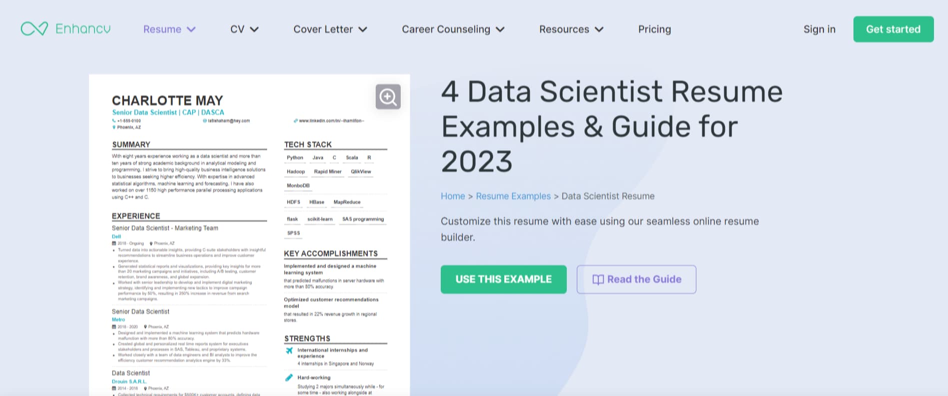 Enhancv area Resume examples screenshot